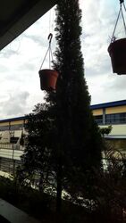 Woodlands Bizhub (D27), Factory #558651011
